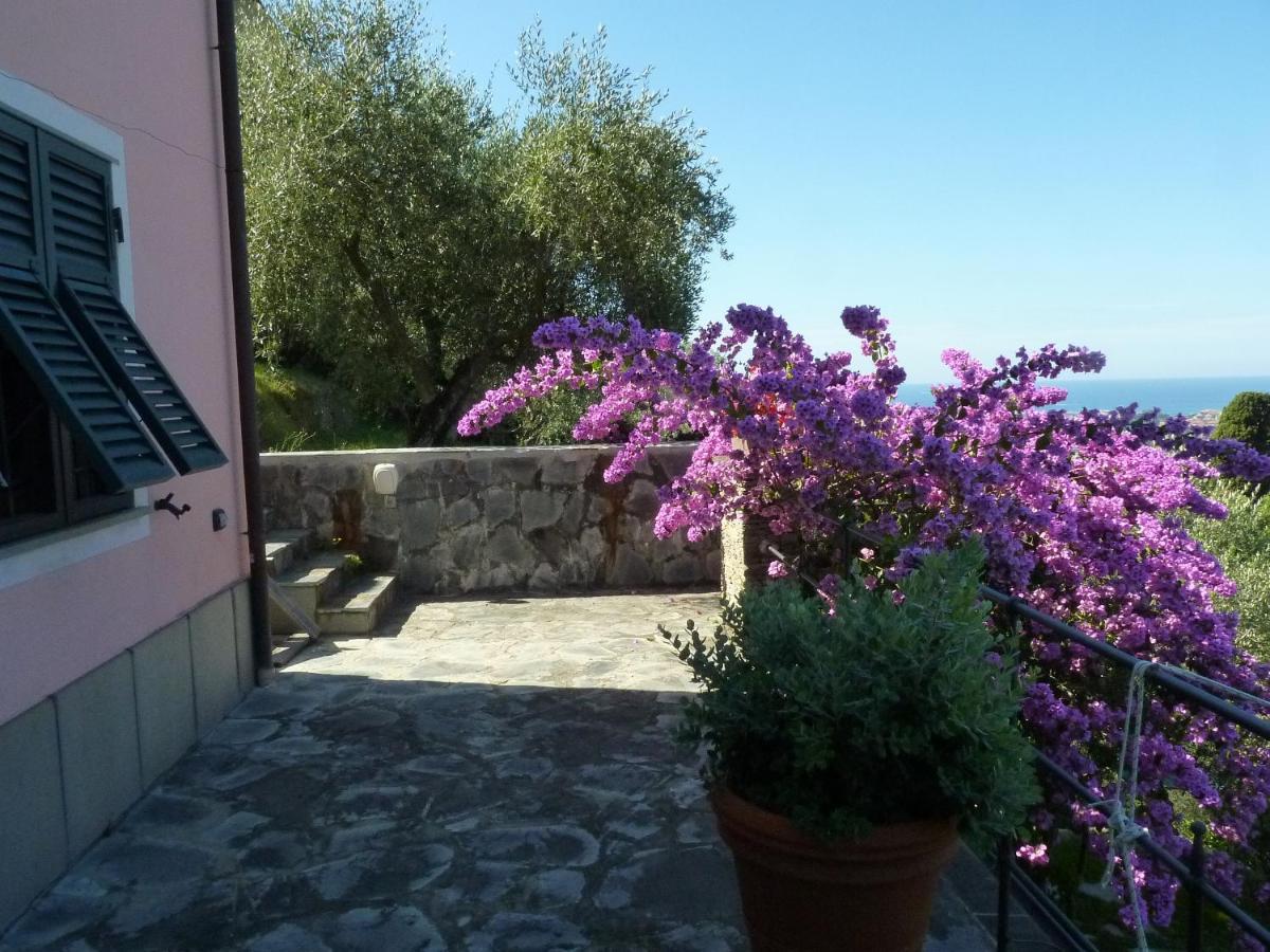 La Gatta Sul Sentiero Acomodação com café da manhã San Salvatore  Exterior foto