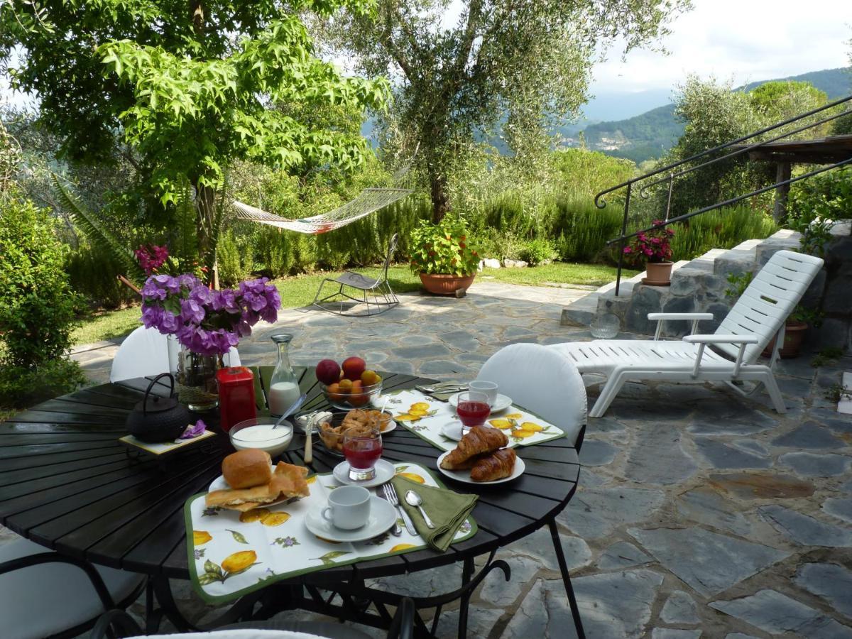 La Gatta Sul Sentiero Acomodação com café da manhã San Salvatore  Exterior foto