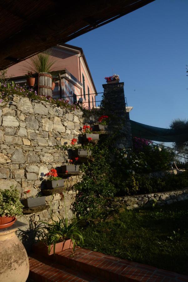 La Gatta Sul Sentiero Acomodação com café da manhã San Salvatore  Exterior foto